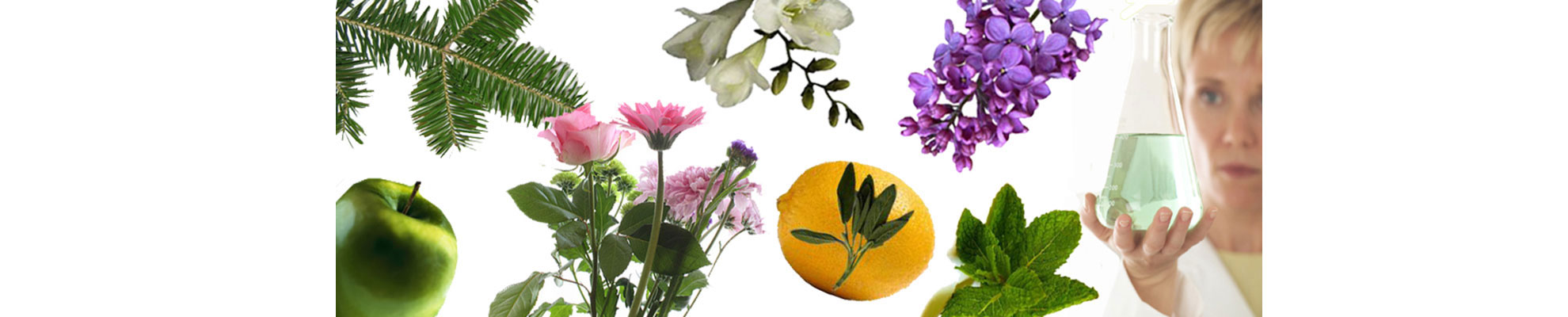 Reed Diffusers Oils, Bottles and Supplies