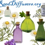 reed diffusers buy online