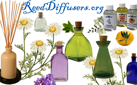 reed diffusers buy online